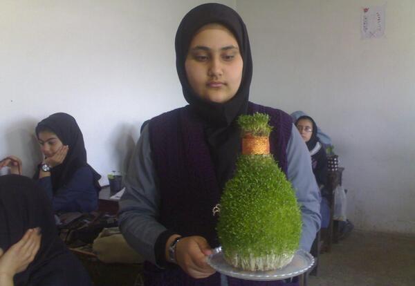 عکس سبزه کوزه