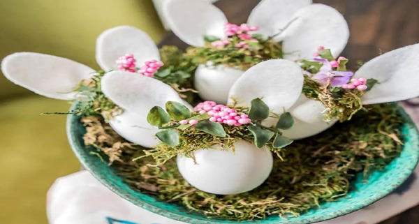 عکس سبزه خرگوش