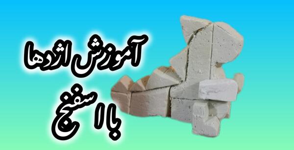 عکس سبزه خرگوش