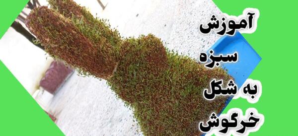عکس سبزه خرگوش