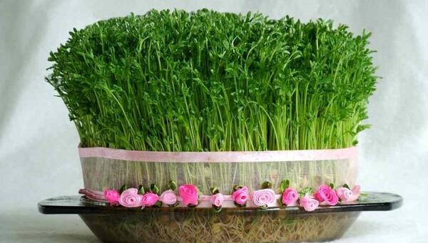 عکس جشن سبزه ها