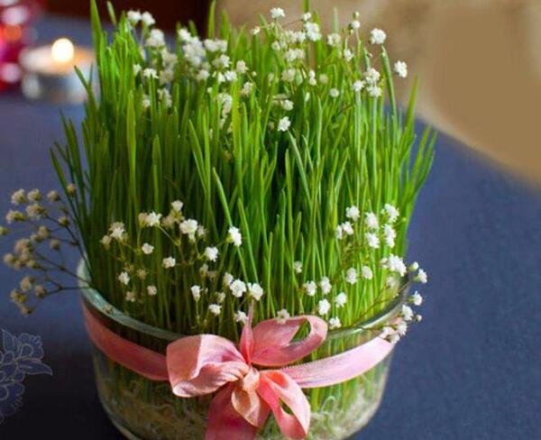 عکس جشن سبزه ها