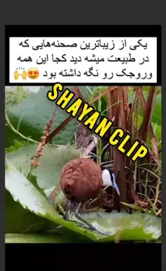عکس نوشته قربون خدا برم