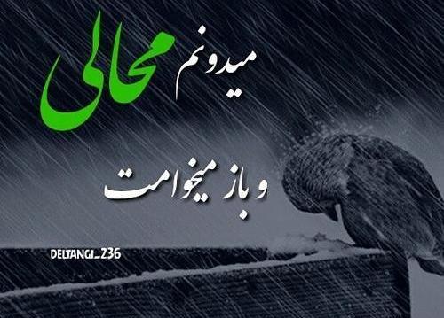 عکس نوشته عاشقانه وفاداری