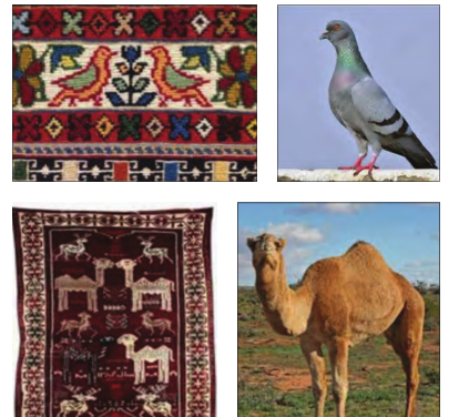 عکس نقاشی طبل در طبل