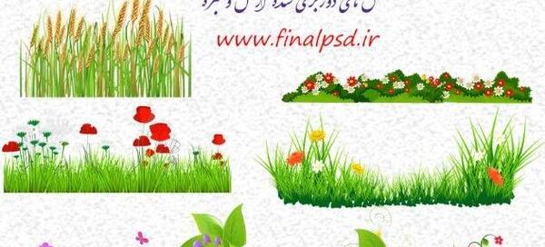 عکس سبزه زار چمن