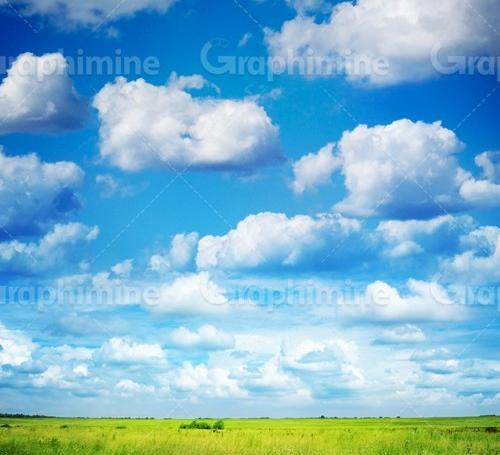 عکس سبزه زار چمن