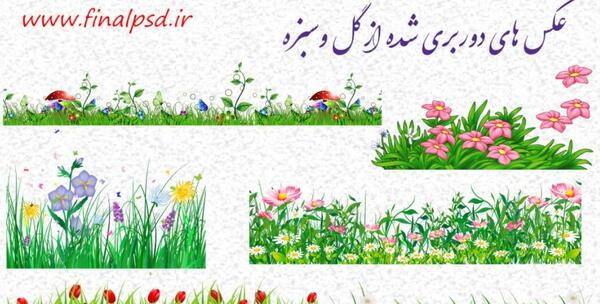 عکس سبزه زار چمن