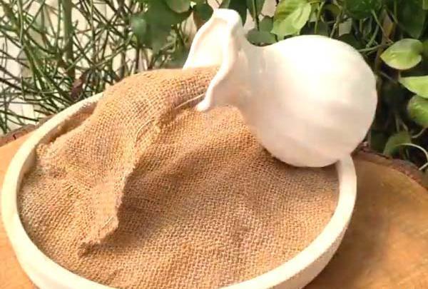 عکس سبزه خاکشیر و خرفه