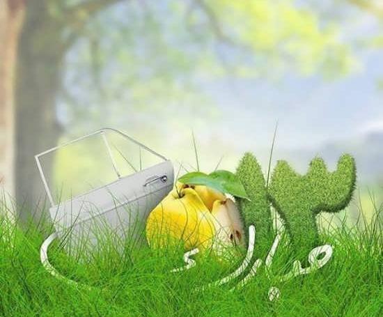 عکس سبزه طبیعت