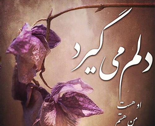 گالری عکس نوشته دلتنگی