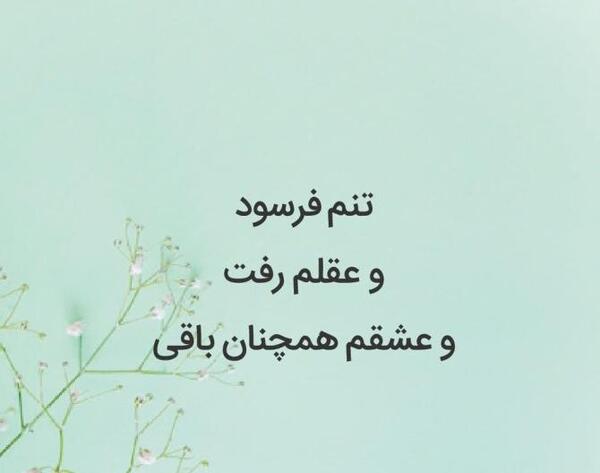 عکس صفحه ی مرد عنکبوتی