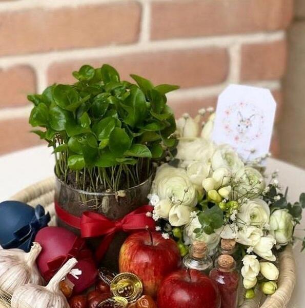 عکس سبزه هفت سین فانتزی