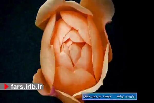 عکس تبریک قدم نو رسیده به خواهر شوهر