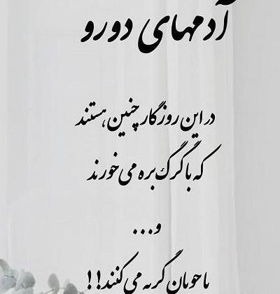 عکس نوشته تیکه دار به ادم های دورو
