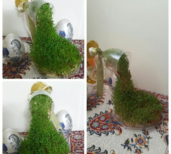 عکس سبزه طبیعی