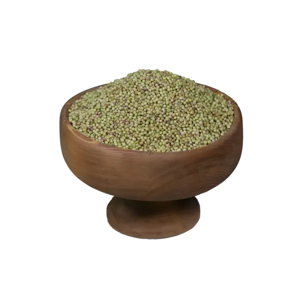عکس سبزه گشنیز