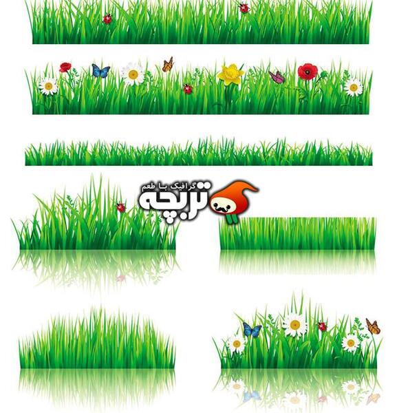 عکس چمن سبزه