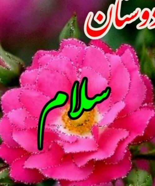 عکس نوشته صبح بخیر دوستان گلم