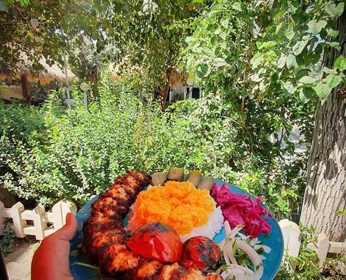 عکس دیزاین جوجه کباب