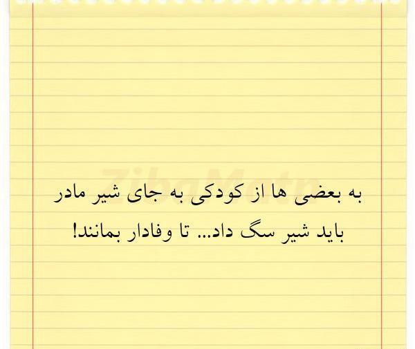 عکس نوشته تیکه دار به بعضی ها