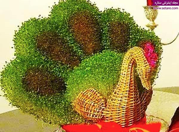 عکس سبزه خاکشیر