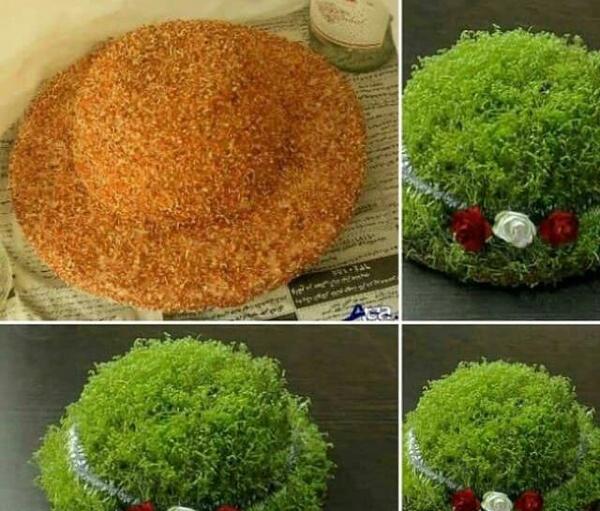 عکس سبزه خاکشیر