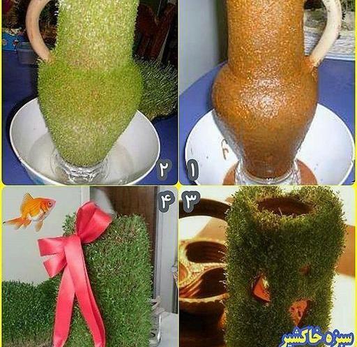 عکس سبزه کوزه ای