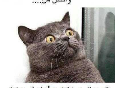 عکس ثنا خره