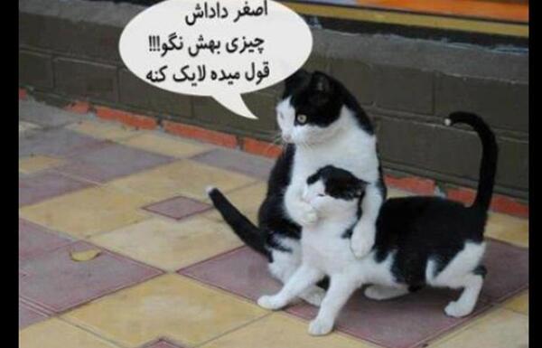 عکس ثنا خره