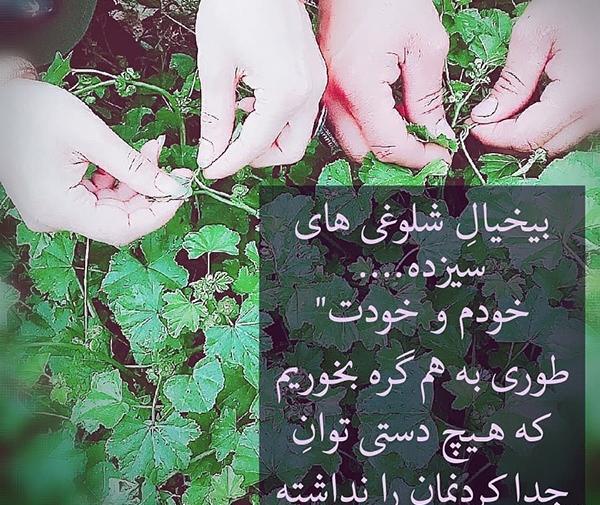 عکس نوشته زیبا سیزده به در