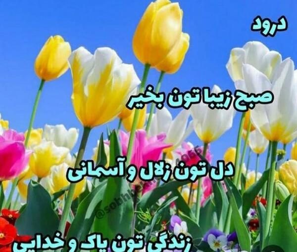 عکس نوشته صبح زیبا