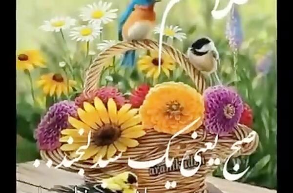 عکس نوشته صبح زیبا