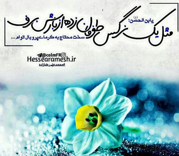 عکس نوشته زیبا با گل نرگس