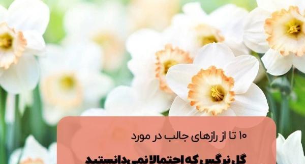 عکس نوشته زیبا با گل نرگس