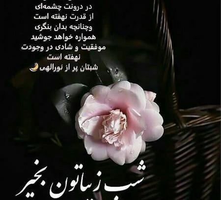 عکس نوشته زیبا شب بخیر