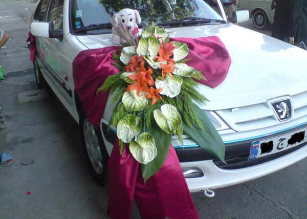 عکس پژو پارس عروس