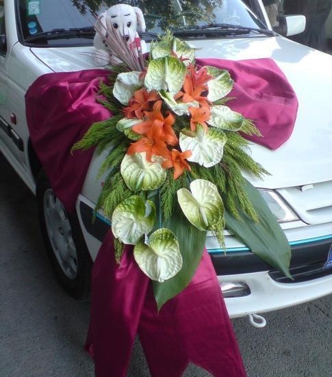 عکس پژو پارس عروس