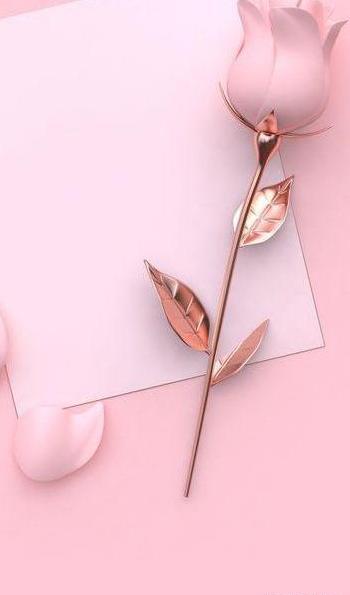 عکس پس زمینه شیک و خاص زنانه