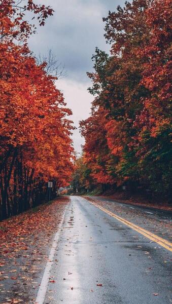 عکس پس زمینه گوشی جاده ای