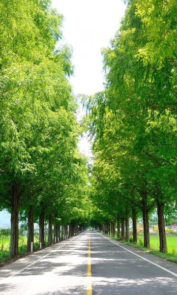 عکس پس زمینه گوشی جاده ای