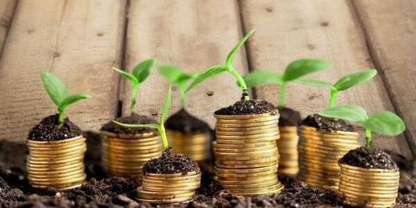 عکس ثروت نیمار