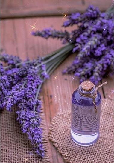 عکس پس زمینه گوشی یاسی