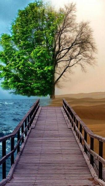 عکس پس زمینه گوشی فول اچ دی