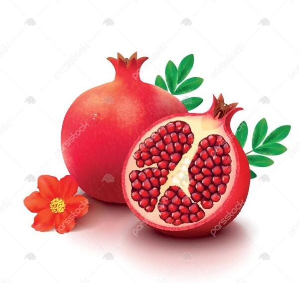 عکس انار نقاشی