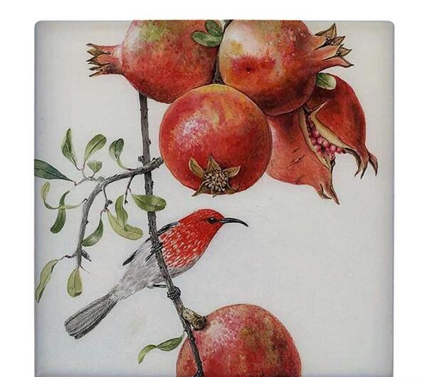 عکس انار نقاشی