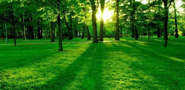 عکس پس زمینه شیک و خاص لب تاب