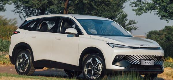 عکس تیگارد x55