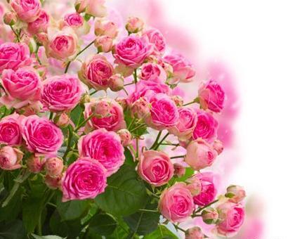 عکس پس زمینه گوشی چت