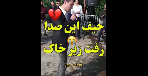 عکس سگ های سرابی اصیل